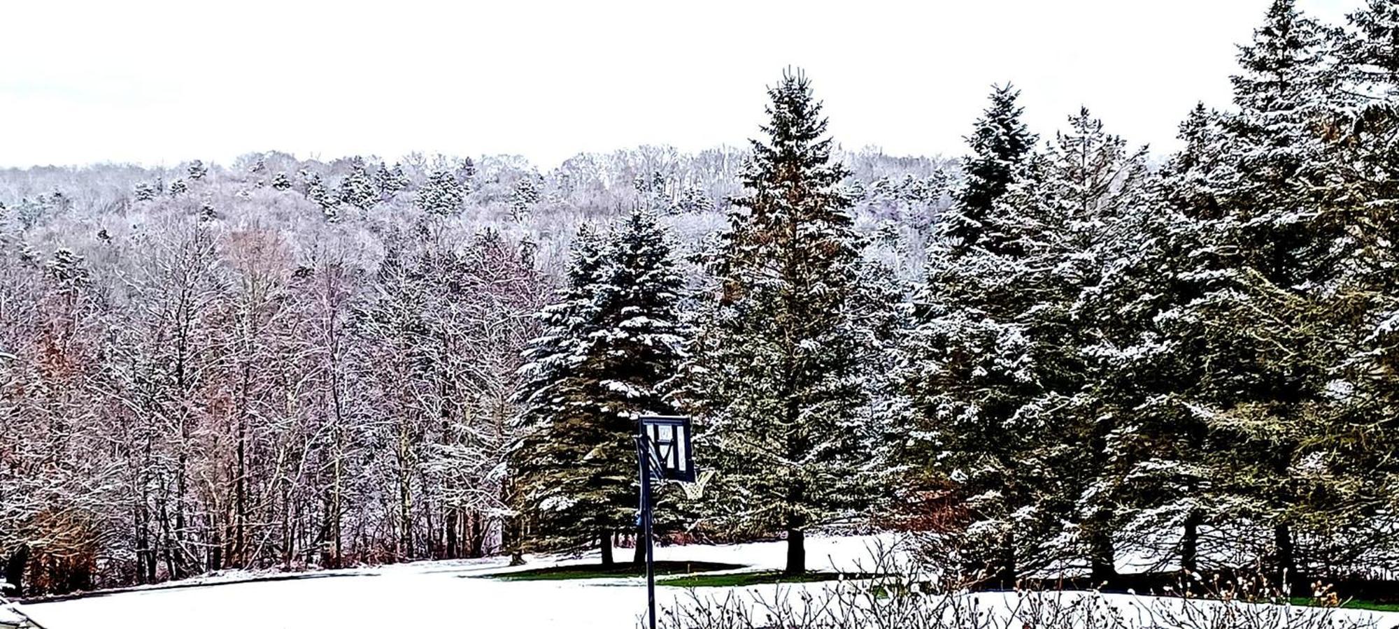 Escape To The Catskills Liberty Extérieur photo
